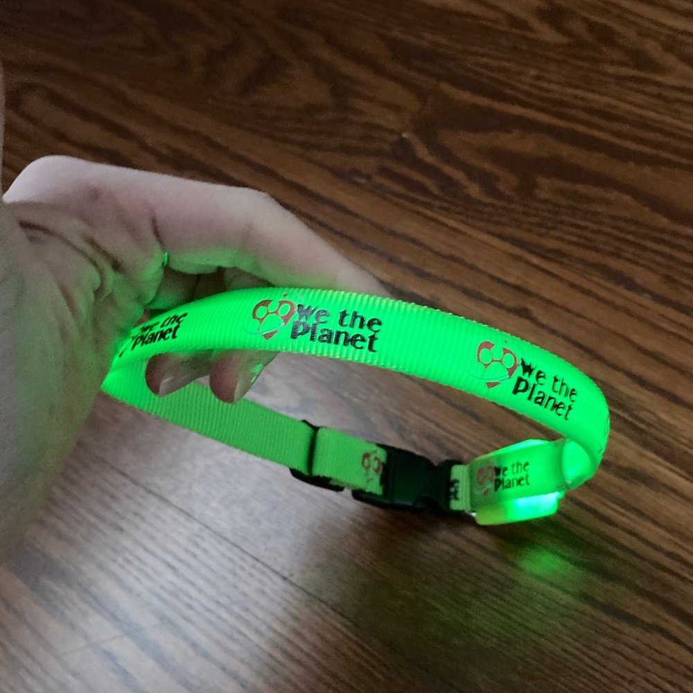 Light up dog colar